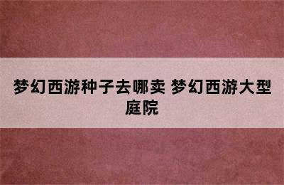 梦幻西游种子去哪卖 梦幻西游大型庭院